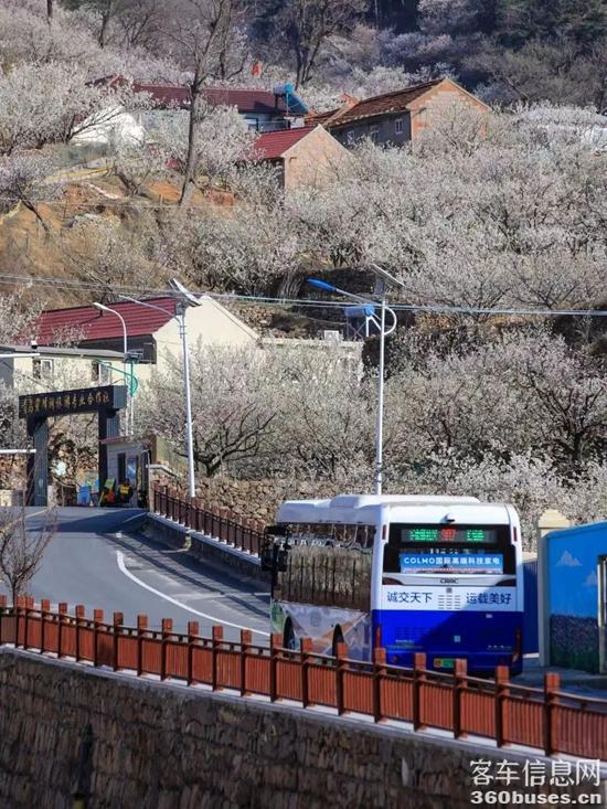 1712455622312792.jpg 12.jpg