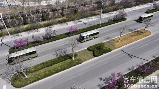 1712543181223265.jpg 3.jpg