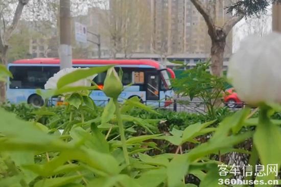 1712894819477180.jpg 3.jpg