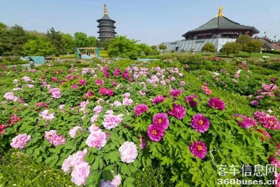 1713152750398826.jpg 1.jpg