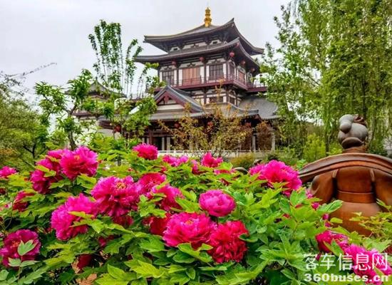 1713152767617383.jpg 2.jpg