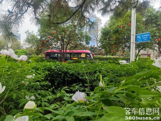 1713152787797528.jpg 3.jpg