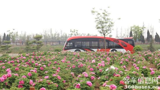 1713152808362921.jpg 4.jpg