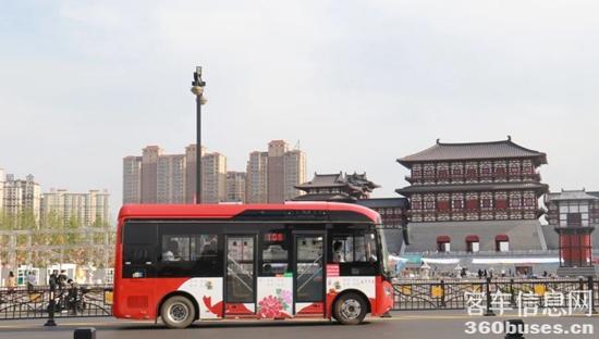 1713152858477102.jpg 6.jpg