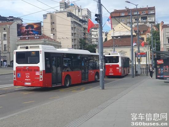 1715399711477324.jpg 10.jpg