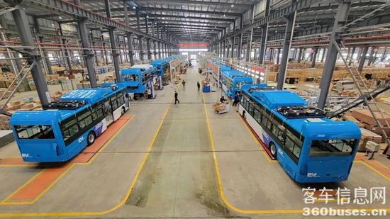 1716432217301529.jpg 2.jpg