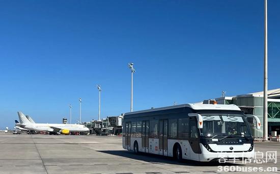 1716524397505327.jpg 2.jpg