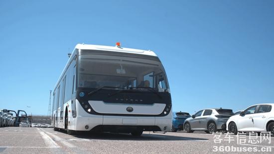 1716524450118261.jpg 4.jpg