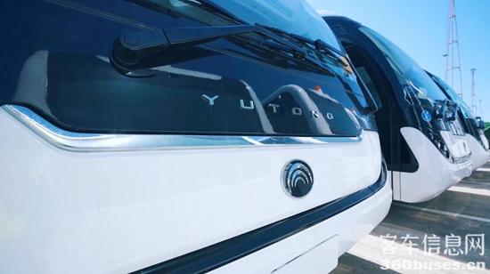 1716524464512454.jpg 7.jpg