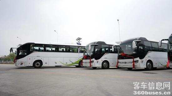 1716528735772769.jpg 4.jpg