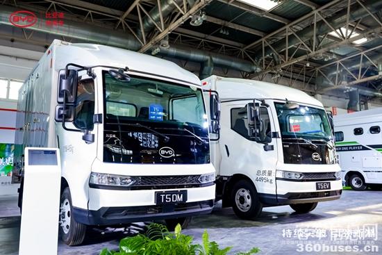 1717039055246651.jpg 6.jpg