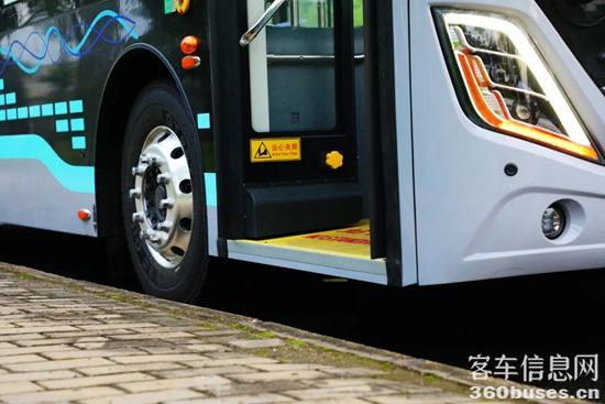 1718271005963317.jpg 6.jpg