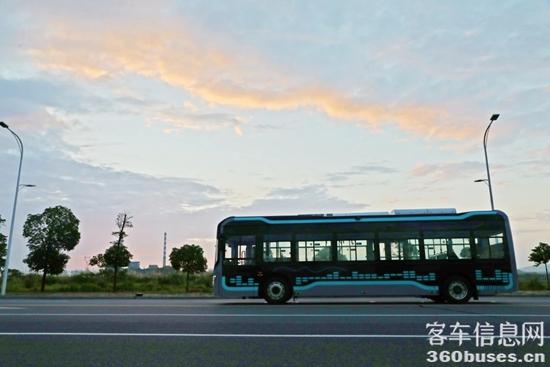 1718271190764664.jpg 10.jpg