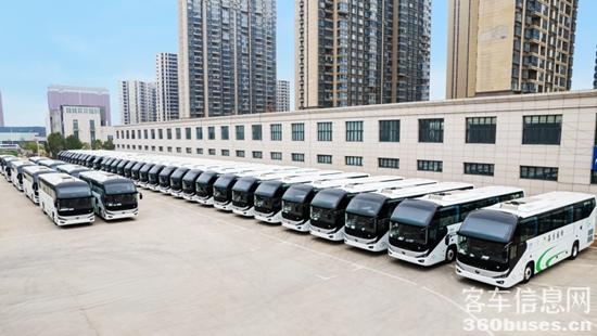 1718590532674100.jpg 3.jpg