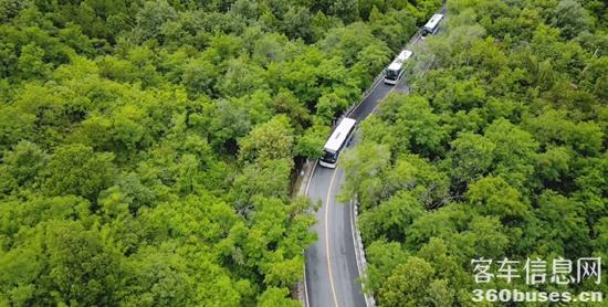 1718592014195483.jpg 9.jpg