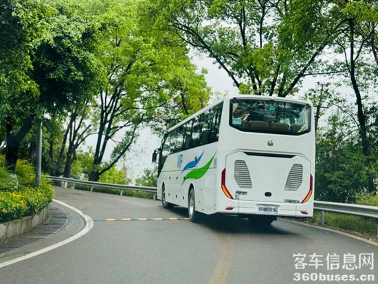 1718761994707085.jpg 11.jpg