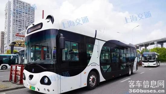 1718937326372851.jpg 3.jpg