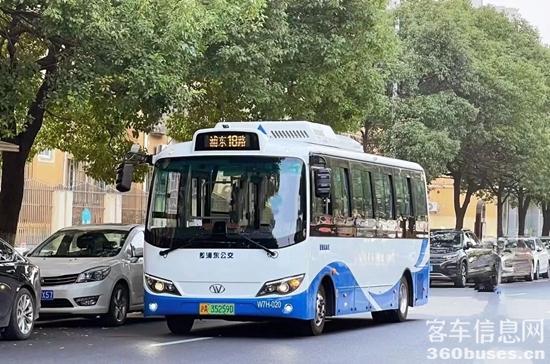 1718937474584675.jpg 1.jpg