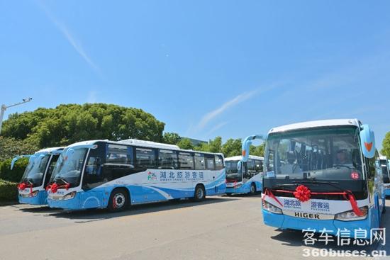 1719456110283791.jpg 4.jpg