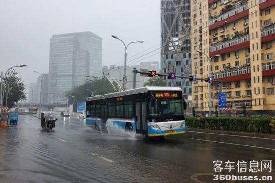 1719798647386273.jpg 3.jpg