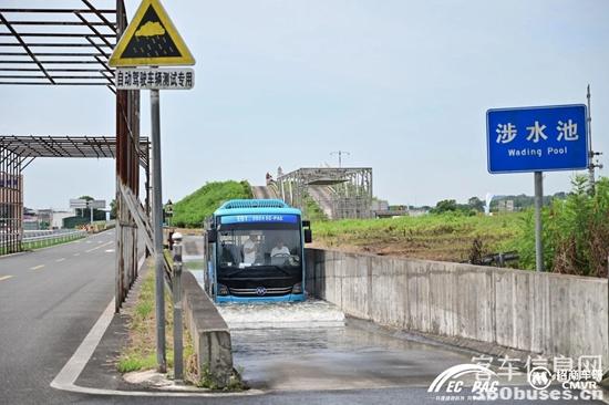 1720774369952024.jpg 11.jpg