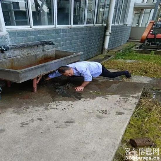 1723000175712453.jpg 3.jpg