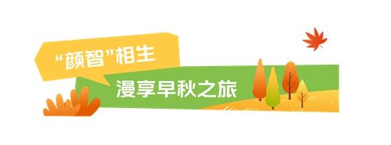 1723691482740567.jpg 4.jpg