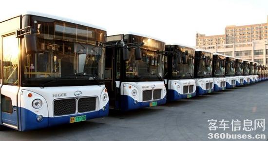 1724306109462213.jpg 2.jpg