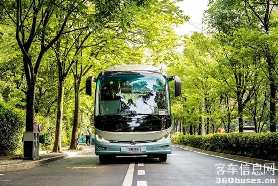 1727156501328700.jpg 6.jpg