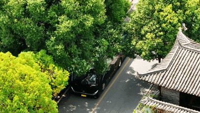 1727490963903751.gif 2.gif