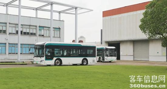 1728358461545767.jpg 3.jpg