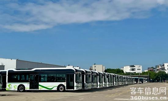 1728358477142157.jpg 4.jpg