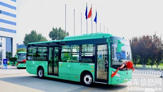 1728872699556819.jpg 4.jpg