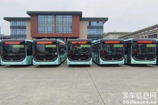 1729048208750296.jpg 10.jpg