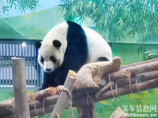 1729729755566192.png 1.png