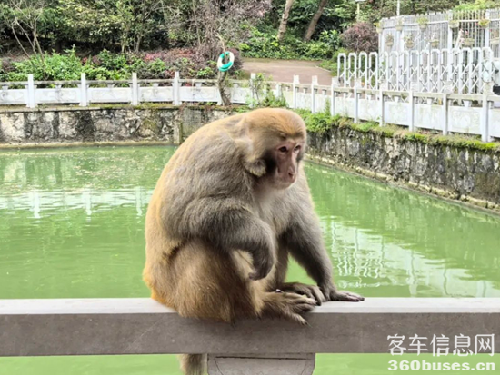 1729729761219693.png 2.png