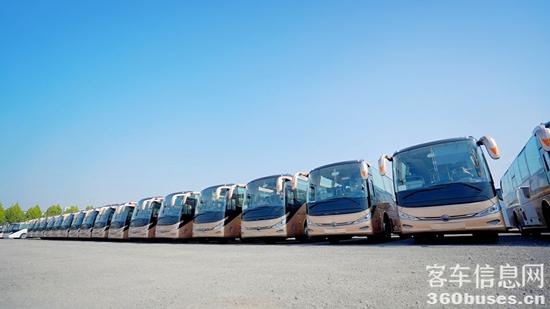 1730432953409963.jpg 2.jpg