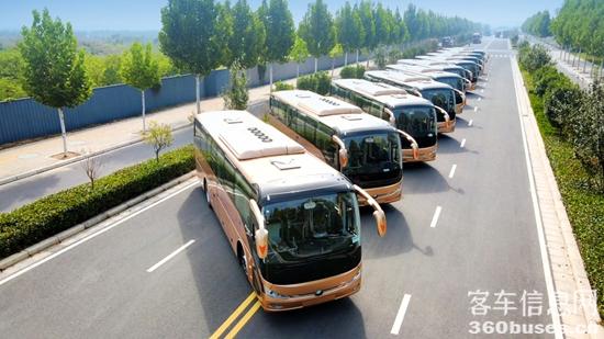 1730433112782935.jpg 5.jpg