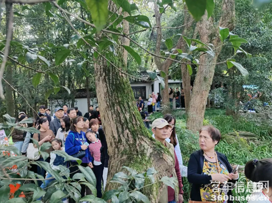 1730690135562577.png 11.png