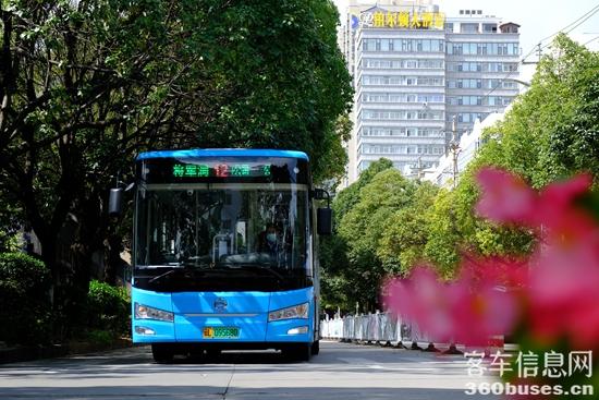 1731287377636434.jpg 1.JPG