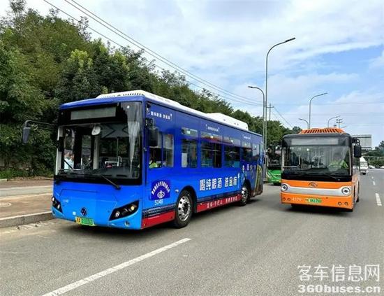 1731473960102094.jpg 1.webp.jpg