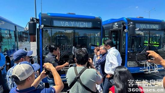 1731633404855289.jpg 2.jpg