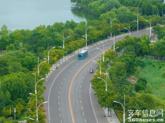 1732158643187822.jpg 8.jpg