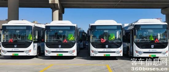 1732849720673229.jpg 5.jpg