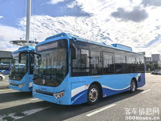 1732849733597248.jpg 7.jpg