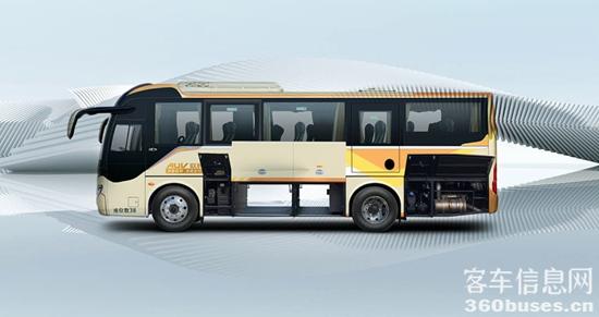 1733293651266330.jpg 5.jpg