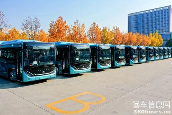 1733452924503133.jpg 4.jpg