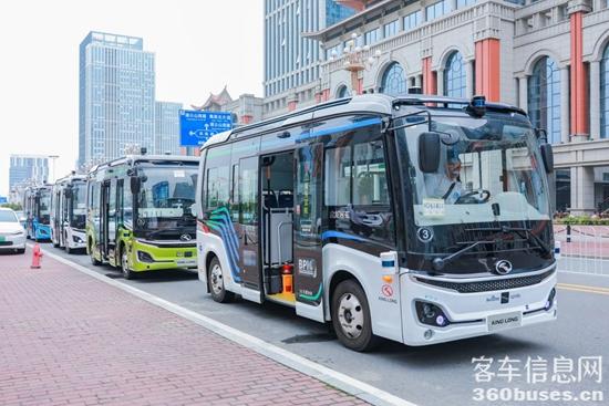 1733802401696168.jpg 3.jpg