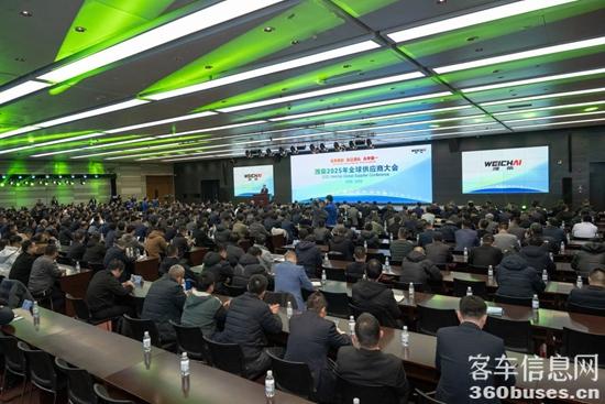 1734075487959866.jpg 6.jpg