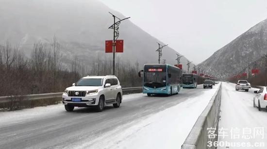 1734075763793828.jpg 3.jpg